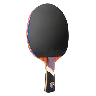 729官方旗舰乒乓球拍初学者套装小学生儿童专用训练友谊兵乓正品