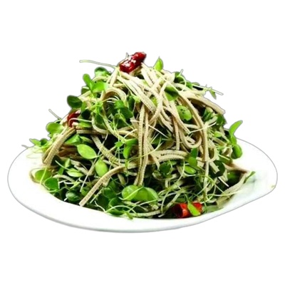 新鲜现采香椿苗香椿芽