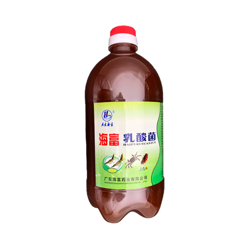热带鱼进口锦鲤鱼观赏鱼水产用渔