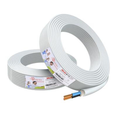 德力西纯铜芯rvv电线家用护套线