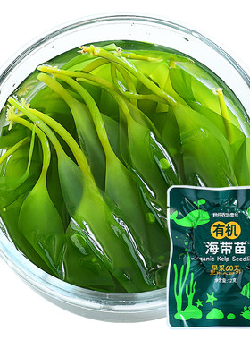 食尚农场壹号有机海带苗真空压缩