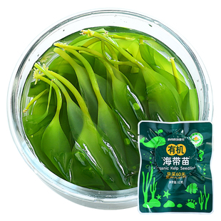 有机海带苗嫩芽海带丝鲜嫩真空压缩结干货非盐渍霞浦特产火锅凉拌