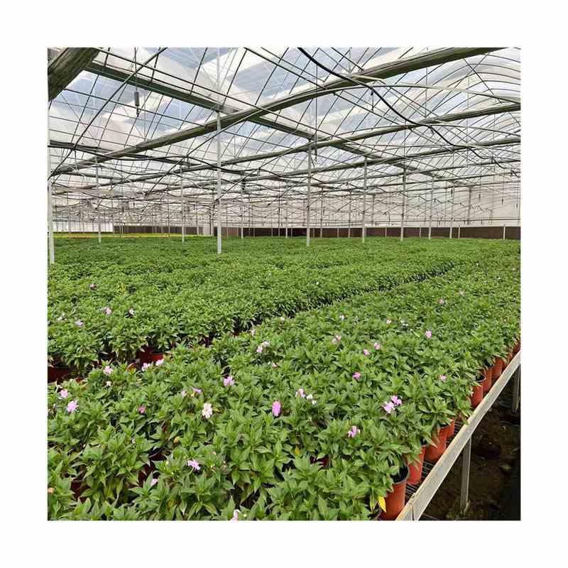 Q235B镀锌管大棚框架搭建钢管工程圆管金属结构钢管