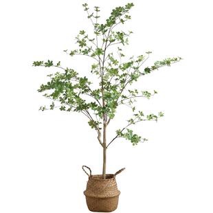 泰环日本吊钟仿真植物绿植盆栽假树室内客厅民宿大型落地装饰摆件