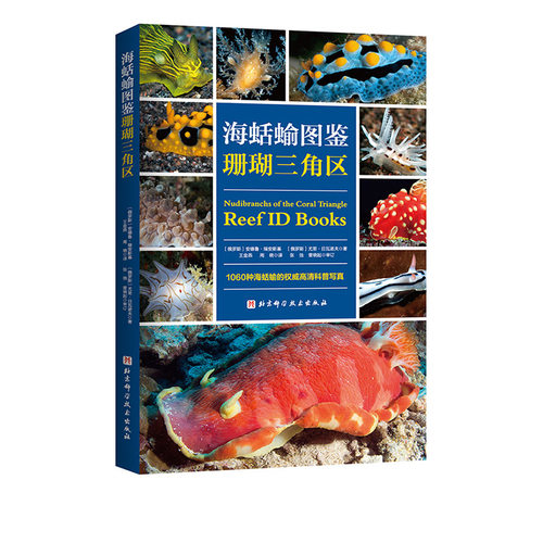 海蛞蝓图鉴 珊瑚三角区 科普 水下摄影 生物 海蛞蝓 北京科学技术