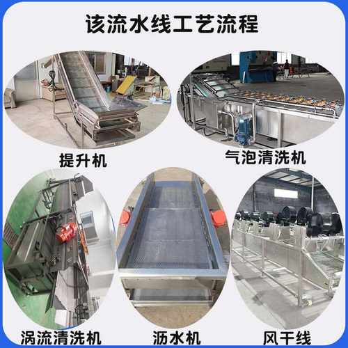 定制全自动果蔬清洗机净菜加工清洗设备高压喷淋预制菜清洗流水线