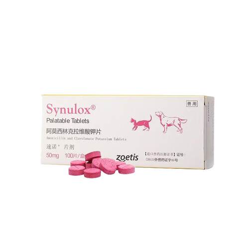 速诺猫咪消炎片阿莫西林克拉维酸钾片宠物狗用50mg进口感冒消炎药