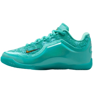 NIKE耐克大童LEBRON XXIII HTK运动训练篮球鞋IV4795-300