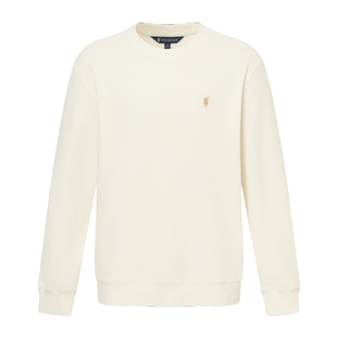 POLOWALK男装卫衣2025秋季新品简系潮流圆领套头男式长袖上衣