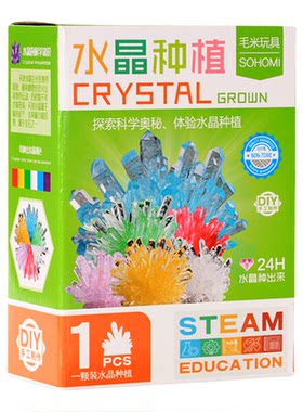 儿童种植水晶科学趣味小实验套装