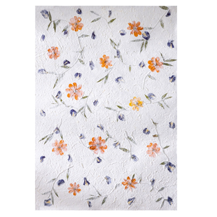 泰国传统植物花草背景纸中秋灯笼罩包装袋相框diy制作材料花瓣纸