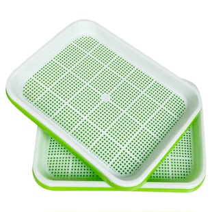 蒜苗盆栽大蒜种植盆种红葱头神器室内家庭阳台种菜盘栽种蒜黄水培