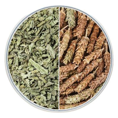 车前草夏枯草散结中药材夏枯球泡
