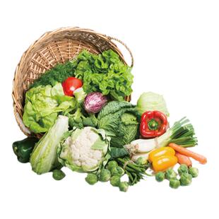 有机时令蔬菜组合南京新鲜沙拉菜当季现摘现发顺丰配送5份包邮