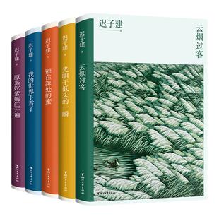 【官方旗舰店 正版书籍】迟子建散文自选集全5册 云烟过客/锁在深处的蜜/我的世界下雪了/原来姹紫嫣红开遍/光明于低头的一瞬 新版