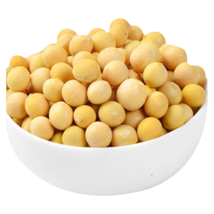 六月特大粒黄豆种大全高产大豆种子八月毛豆夏季种籽老品种早熟