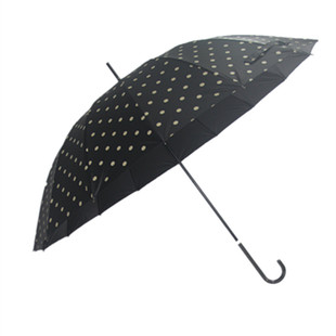 韩国ins风chic小众波点长柄伞16骨抗风自动晴雨两用伞防晒UV伞女