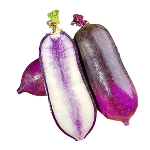 冰淇淋萝卜新鲜带泥冰激凌心里美紫罗卜水果生吃沙窝紫美人农家种