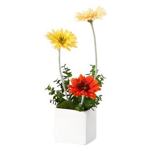 知根 高仿真非洲菊扶郎花太阳花清明节花 现代装饰花假花摆设花