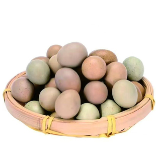 芦丁鸡蛋可孵化受精蛋网红小鸡黑白礼服纯白色瓦灰受精卵宠物顺丰