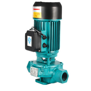 SGR250W370W550W750W 单相热水丝口丝扣管道泵家用管道增压循环泵