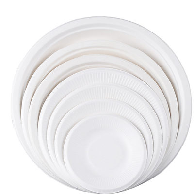 一次性白色纸盘DIY儿童绘画手工