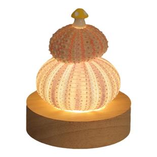 蘑菇贝壳海胆小夜灯diy桌面摆件房间装饰品实用生日礼物女生新年