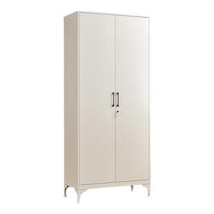 阳台柜子铁皮衣柜家用无醛收纳柜置物柜门厅柜家用欧式防晒杂物柜