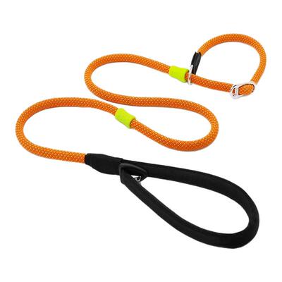 BeauGo防爆冲P链遛狗牵引绳项圈