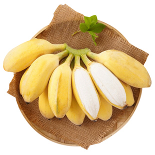 正宗苹果蕉banana香蕉新鲜水果9斤苹果粉蕉自然熟当季小米芭蕉
