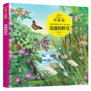 官方正版 童眼识天下科普馆 茂盛的野草 3-6岁儿童趣味科普开拓视野启迪思维书籍 高清彩绘大图 真实还原野草风采 幼儿园亲子读物