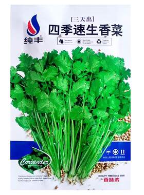 四季香菜常丰高品质高发芽率易种