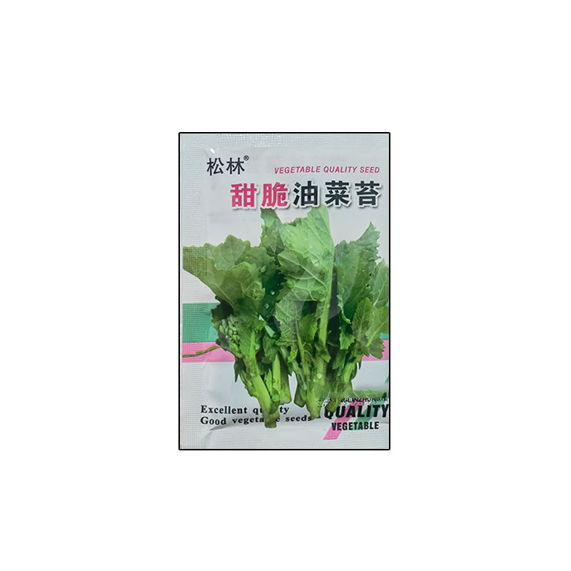 甜脆油菜苔种子高产耐抽苔抗病抗寒菜心苔菜种籽非转基因蔬菜种子
