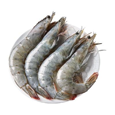 加州牛仔鲜活速冻南美白对虾