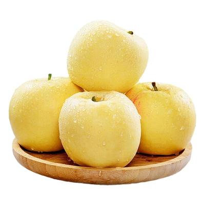 不真退整箱黄金维纳斯年货礼盒