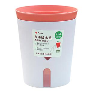 多肉花盆2022新款办公室懒人自吸水绿植文竹盆栽虎皮兰花盆桌面