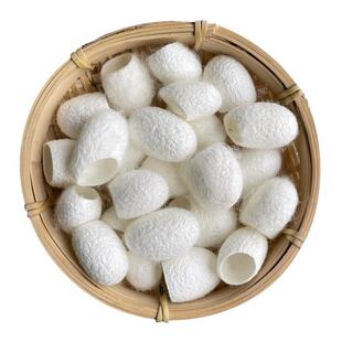 蚕茧500g中药材春蚕茧蚕茧壳白蚕茧桑蚕丝棉兜蚕丝被包邮