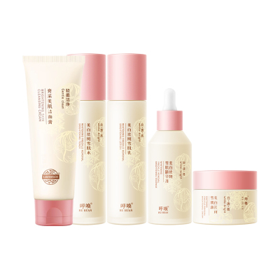 老中医雪肌美白祛斑套装