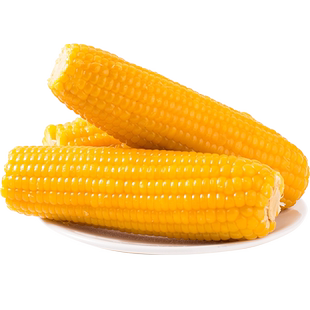 新鲜玉米析芮东北黄糯玉米真空装包新鲜甜糯黏软香甜代餐玉米棒