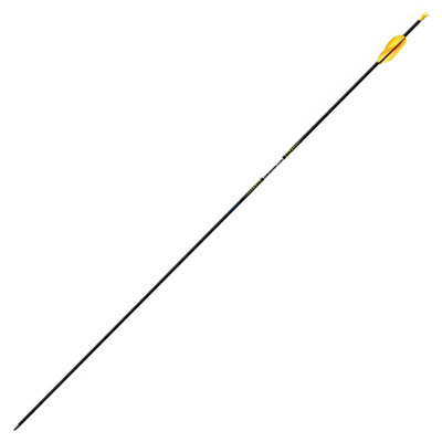 伊斯顿X10专业射箭比赛100%标配