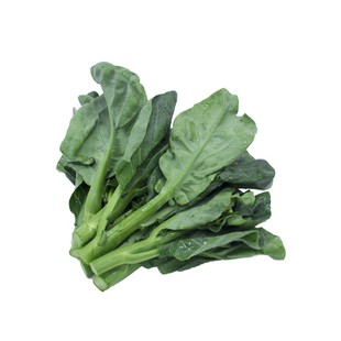 东升农场 供港芥兰菜现摘芥蓝菜心轻食 广州供港蔬菜新鲜配送300g