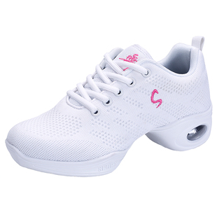 杨丽萍广场舞鞋跳舞鞋女2025年新款粉色舞蹈鞋跳健身舞鞋夏天透气