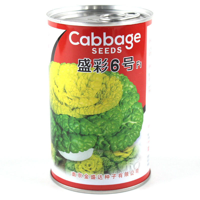 黄心乌菜种种子种籽乌塌菜大全青菜适合冬天黑孑乌塔菜籽雪里金花