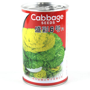 黄心乌菜种种子种籽乌塌菜大全青菜适合冬天黑孑乌塔菜籽雪里金花