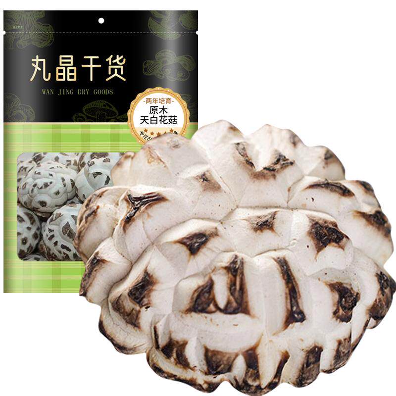 白花菇出口品质原木生长2年培育