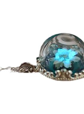 daisy㊣加拿大代购迷人雏菊花