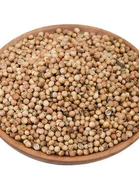 香菜籽500g煲汤卤肉烧烤香辛料