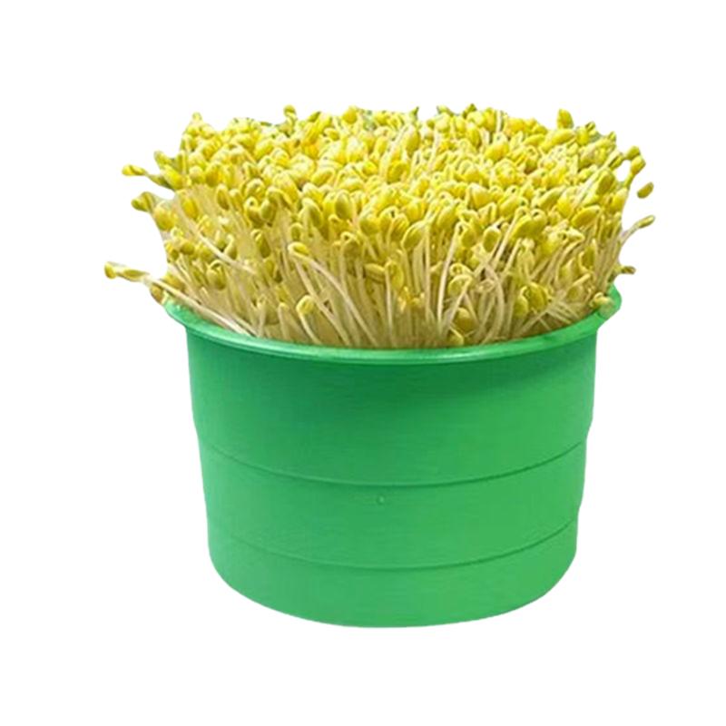 家用生豆芽机豆芽发芽盆
