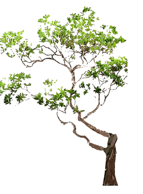 仿真绿植假树仿真树景观造景装饰