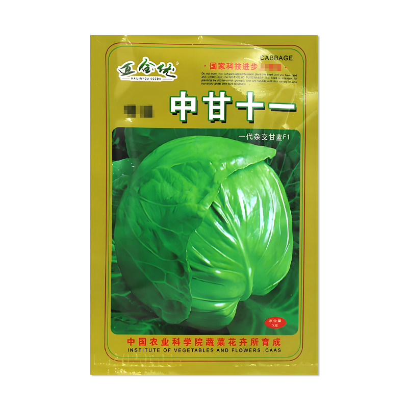 迈金优中甘十一甘蓝种子